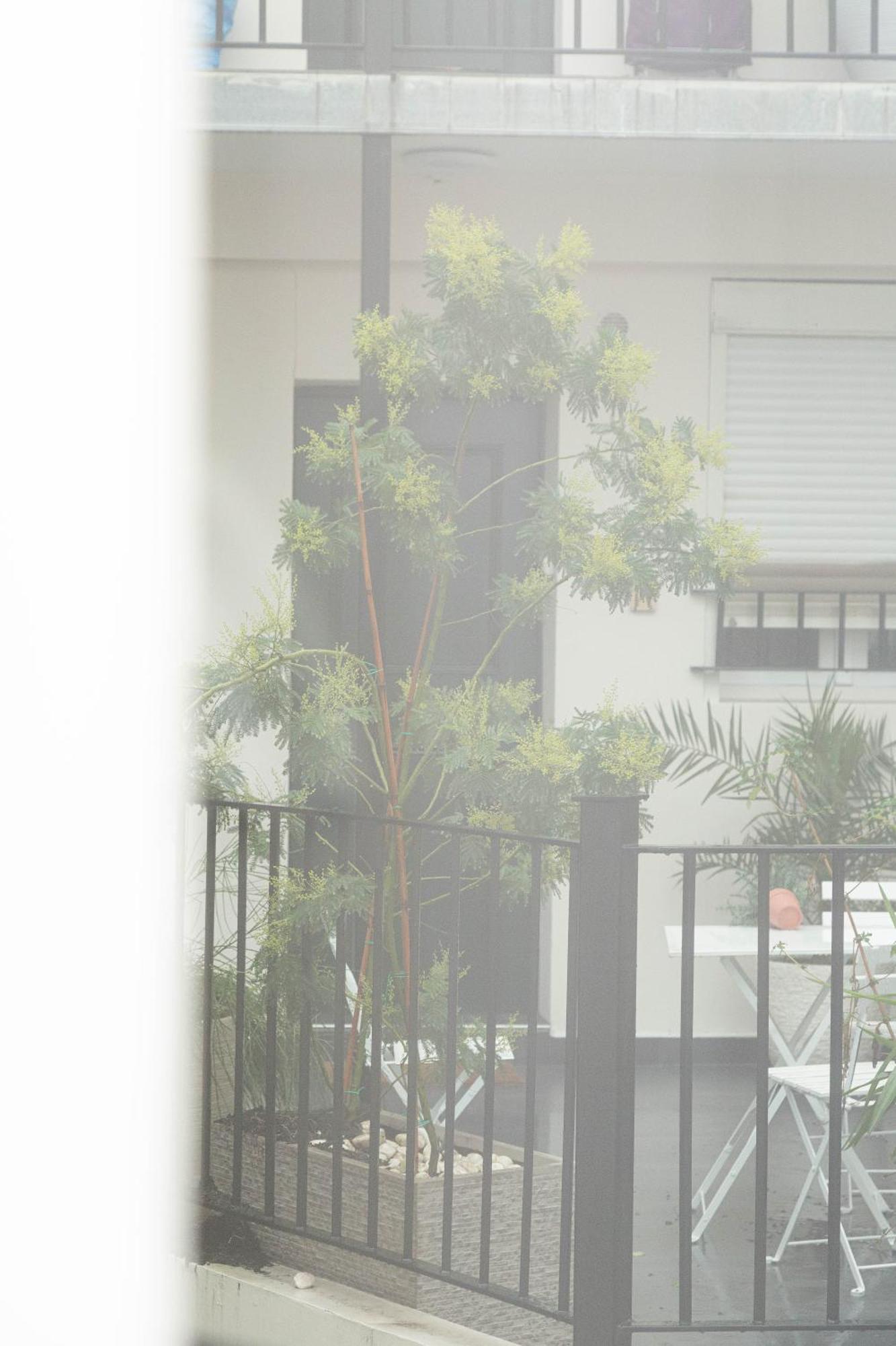 Studio Cosy Stade De France 11 Pour 2 Personnes Saint-Denis (Seine-Saint-Denis) Exterior foto